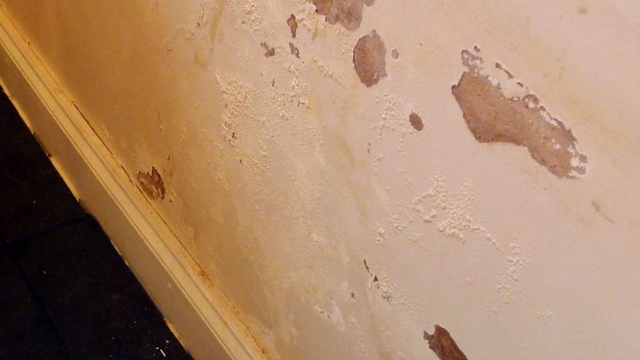How To Get Rid Of Damp In House Walls