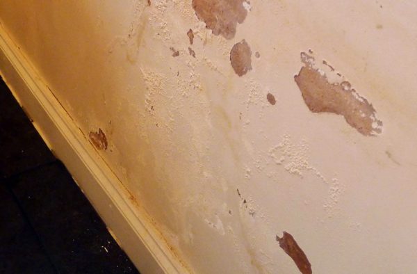damp wall