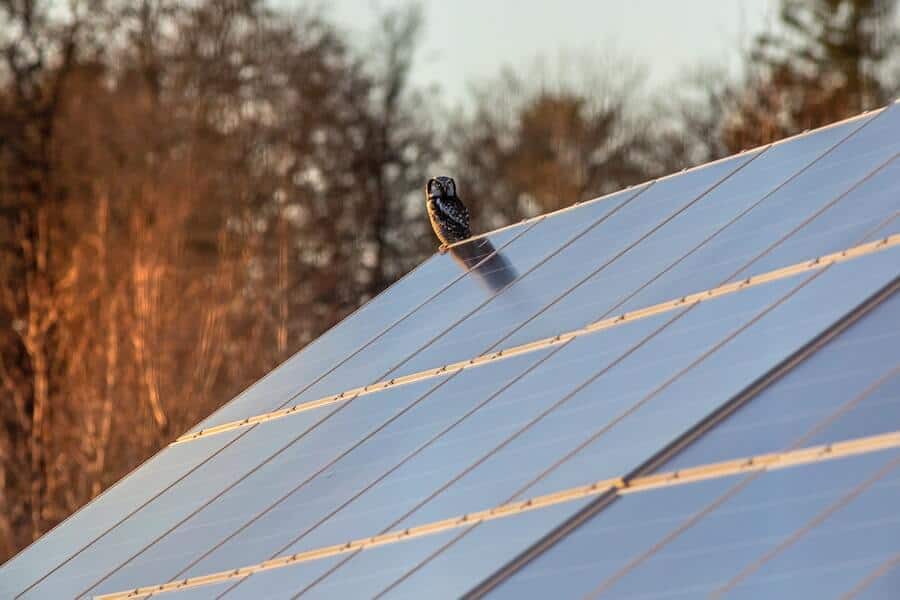 What is Solar Gain? The Complete Guide - Underfloor Heating Trade Supplies  Blog