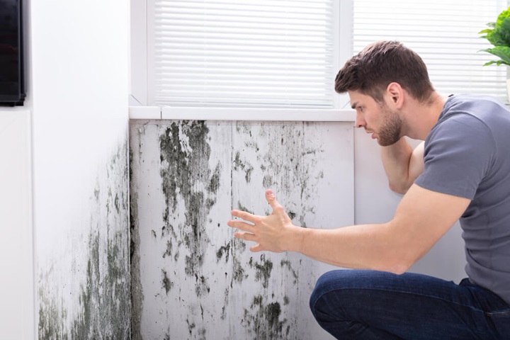 heat loss in houses wall moistur