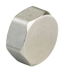 Manifold Blanking Caps