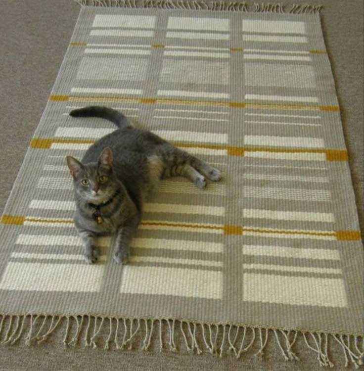 Image result for  cats on carpets floors pinterest